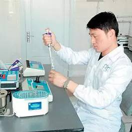 三亚国际免税城购物导航图,三亚免税城购物攻略春节