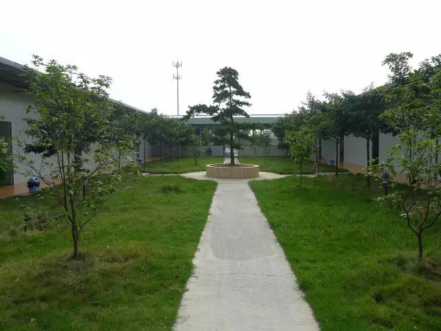 一间农庄,一间小院生态农场