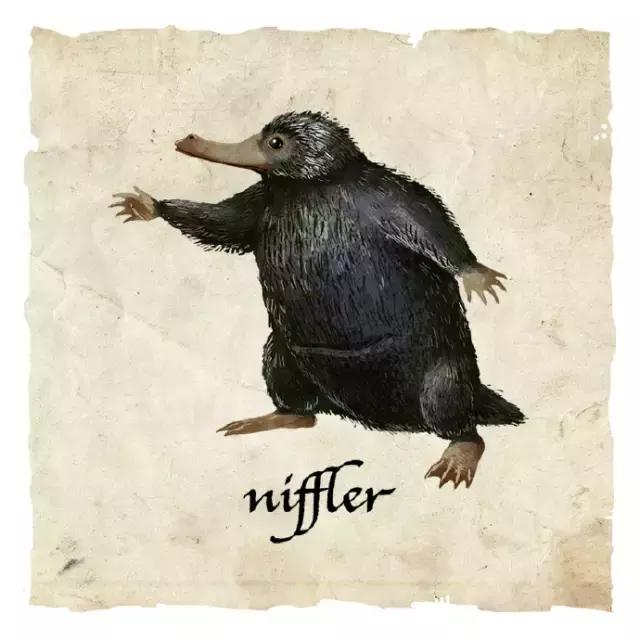 一些神奇的动物用英语怎么说,神奇动物在哪里英文词汇