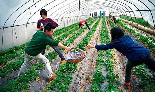 青州赤涧村数字乡村建设心得体会,青州弥河赤涧村