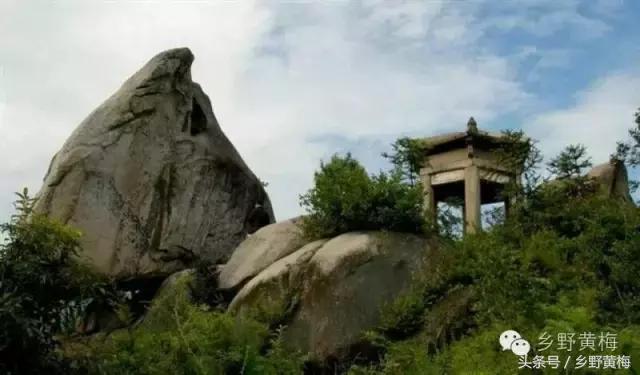 难忘大青山,难忘中学