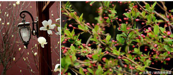 280平花园法式,我家花园的氛围感