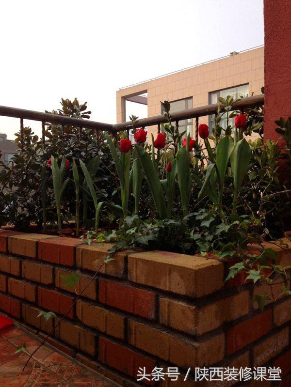 200平庭院花园轻奢,280平花园法式