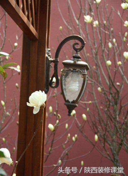 280平花园法式,我家花园的氛围感