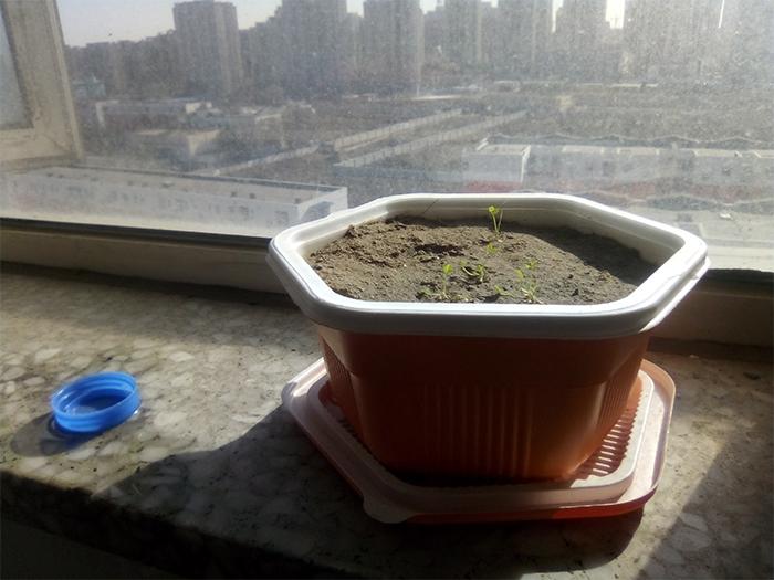 康佳r8手机多少钱,康佳r8电视机