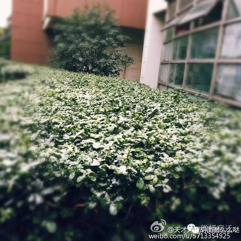 雪中宿迁，素颜都美到窒息！