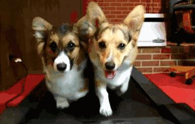 跑步时听哪些有节奏的歌,跑步时适合听的歌英文