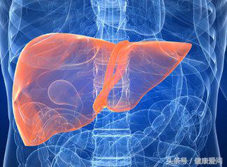 鼓胀舌和胖大舌的区别,胖大舌的鉴别方法