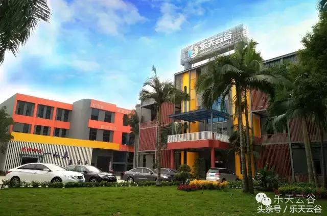 SR最实用式神大盘点！非洲里面有你与我的真爱