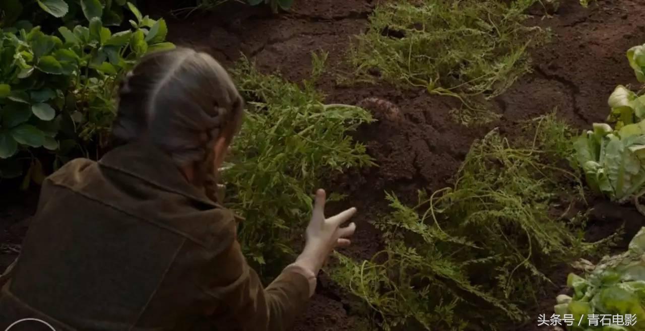 12月新片合集,不能错过的5部新片推荐建议收藏