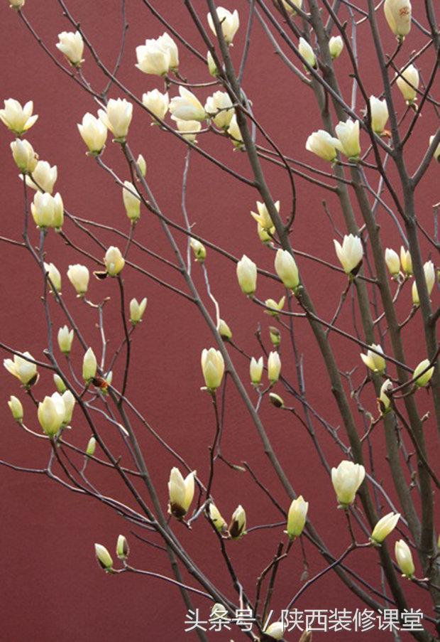 280平花园法式,我家花园的氛围感