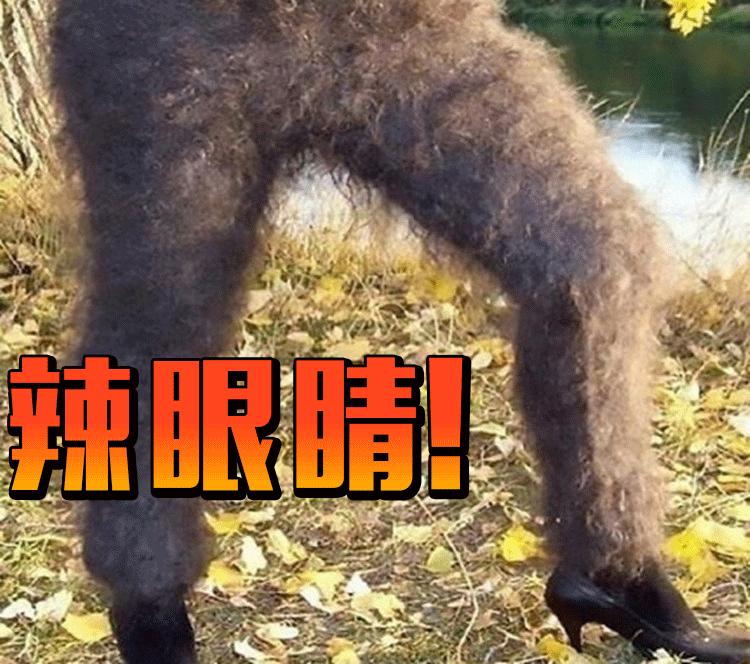 什么品牌的连裤袜好穿又舒服,寒冷秋冬季咱们备上这几款连裤袜