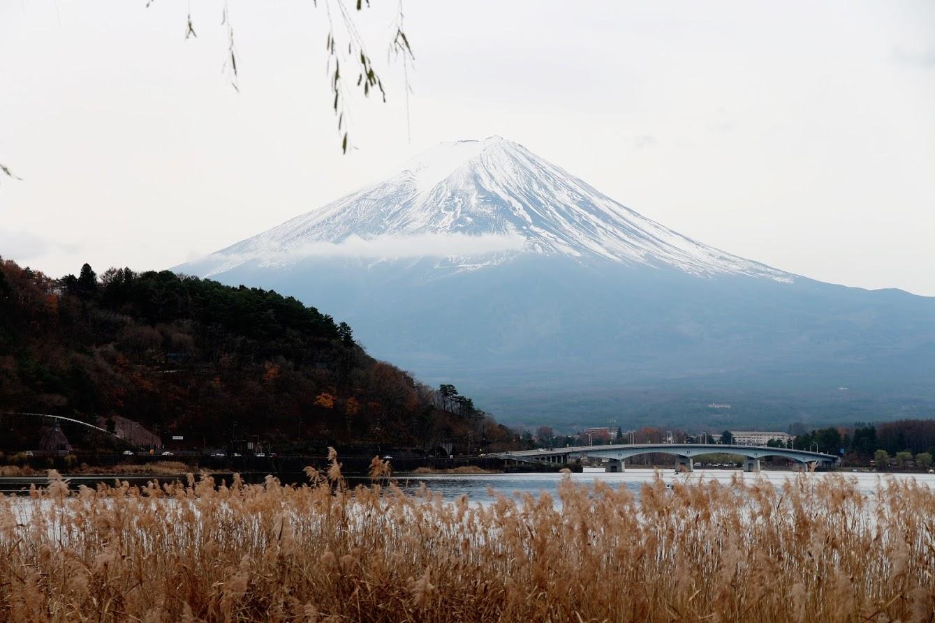 手绘旅行日记,手绘研学旅游日记