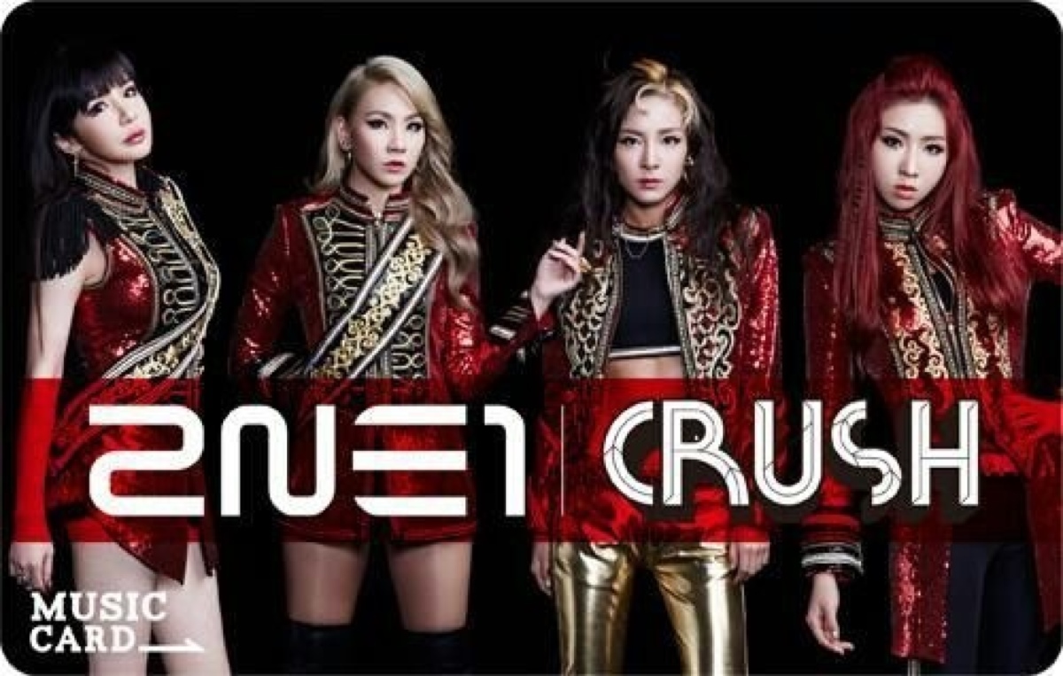 2ne1解散后唱歌,2ne1解散成员现状