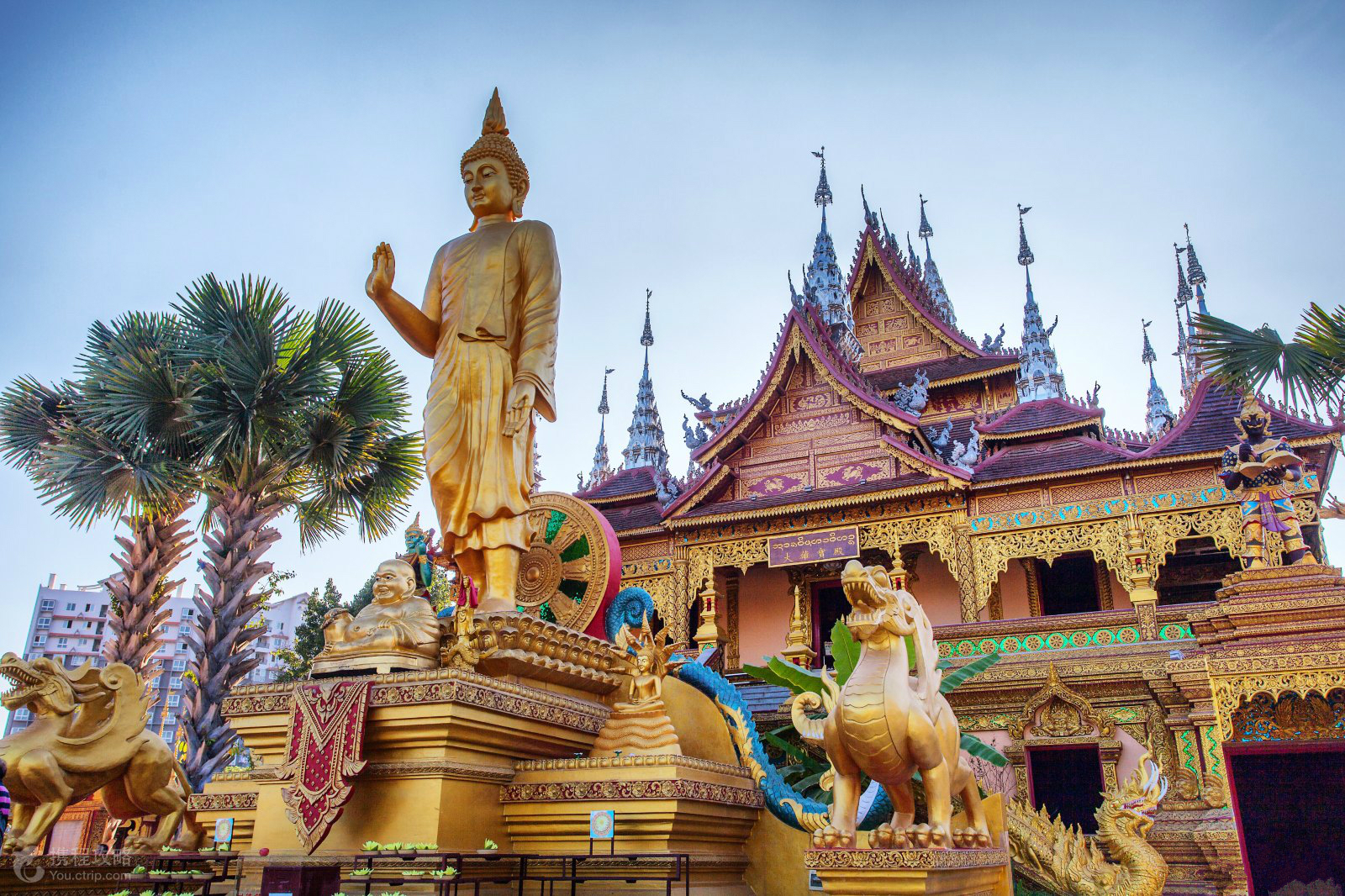 感恩节最暖心的礼物,感恩节收到的最好的礼物