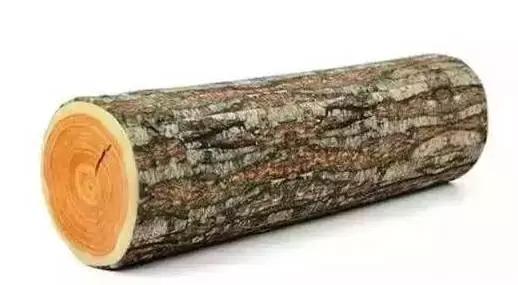 14种常见家具木材选购指南,家具木材知识大全连载篇三