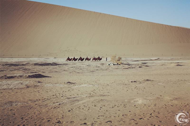 科帕奇去沙漠,科帕奇沙漠越野