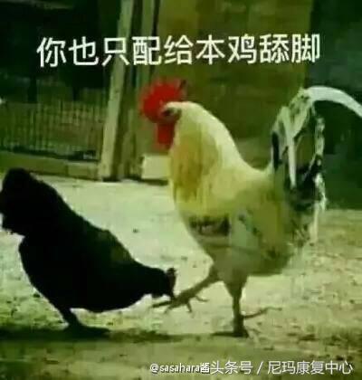 火鸡吃多了对身体有什么不好处,火鸡吃了对身体有什么影响