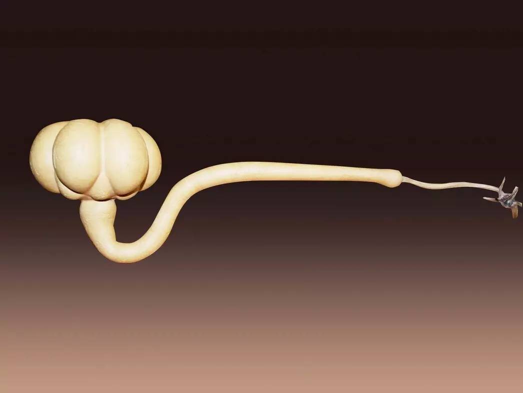 葫芦和如意哪个寓意更好,有寓意福禄满满的小葫芦