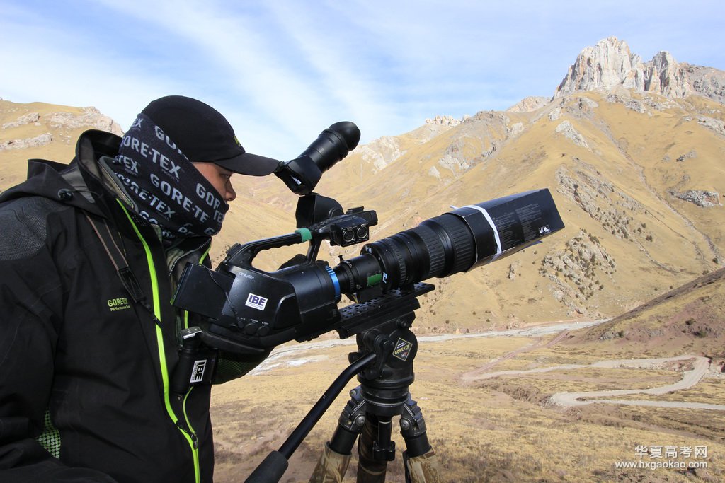 男生就业最具优势的10大高考专业，志愿填报不可轻视