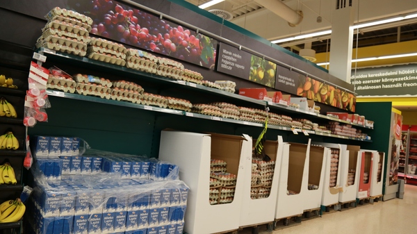 移民匈牙利布达佩斯,移民匈牙利谋生