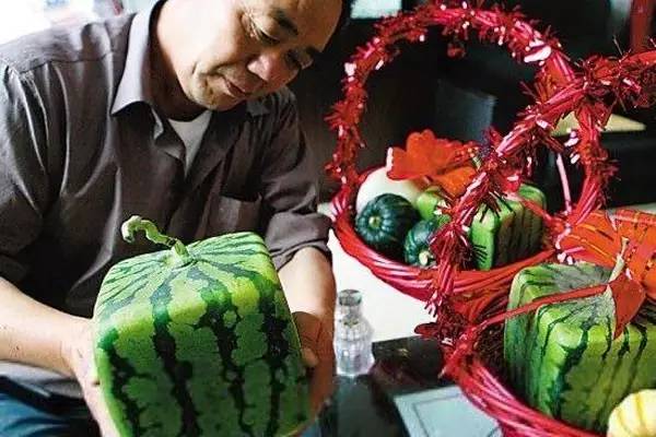 上海附近农家乐包吃住的有哪些,上海周边农家乐包吃住二日游推荐