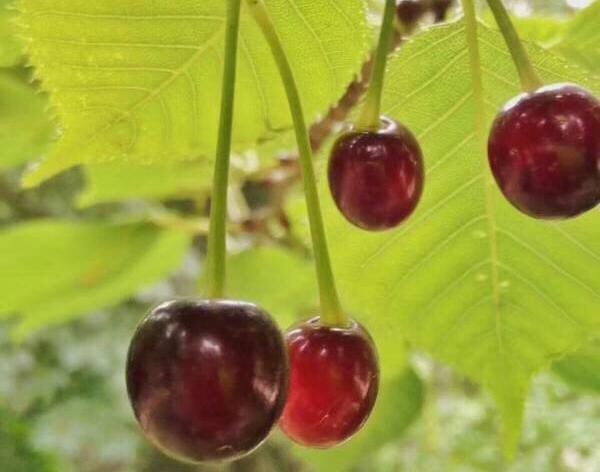 闺蜜之间怎么相处,怎么才可以对闺蜜说甜言蜜语