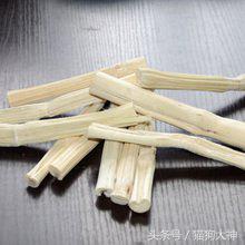 养仓鼠该怎么养不让它咬你,混养仓鼠的正确方法