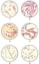 超级冷知识你绝对不知道,你绝对不知道的几个冷知识