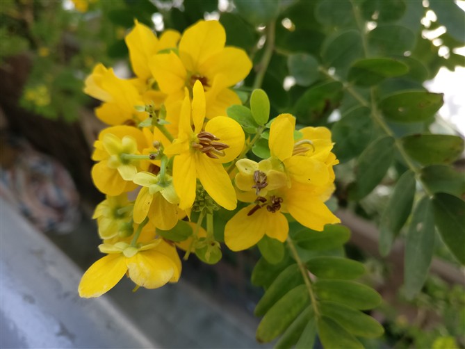 一加手机3t评测,一加手机3t有哪些变化了