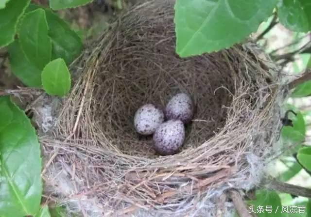 8090后的回忆你们经历过吗,8090共同的回忆完整视频