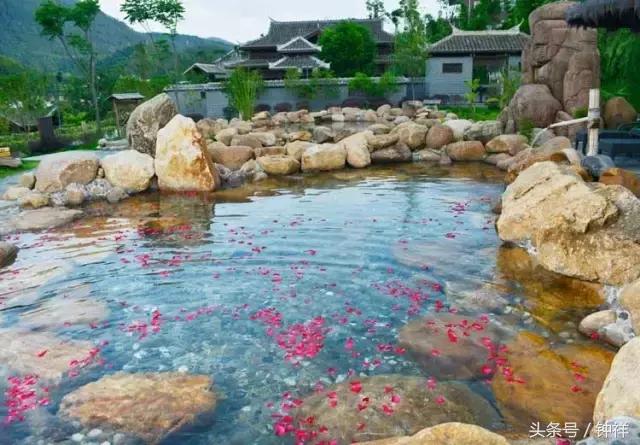 钟祥还能不能去,对不起我要离开了文章