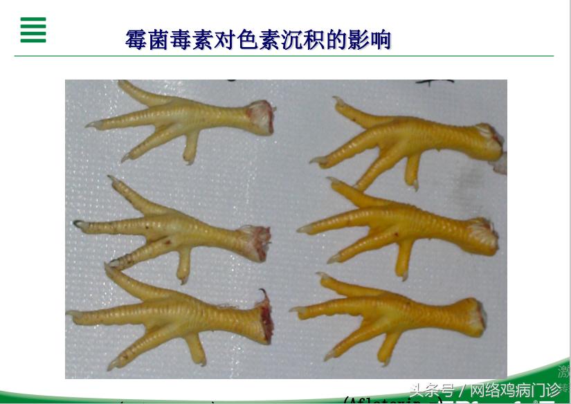 脱霉剂实测,脱霉剂真正脱霉吗