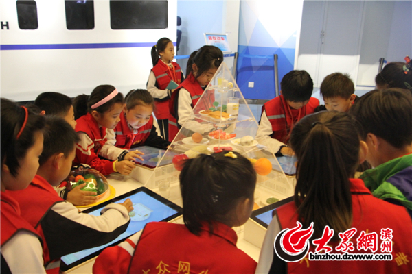 大众网滨州小记者,小记者研学体验活动之探游海洋馆