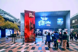 奔赴一场繁华之约,奔赴一场春之约