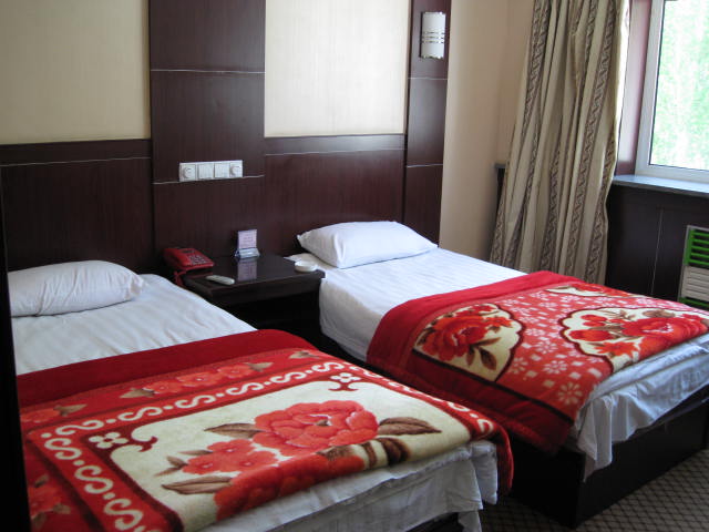 厉害了word哥什么意思,厉害了word哥视频