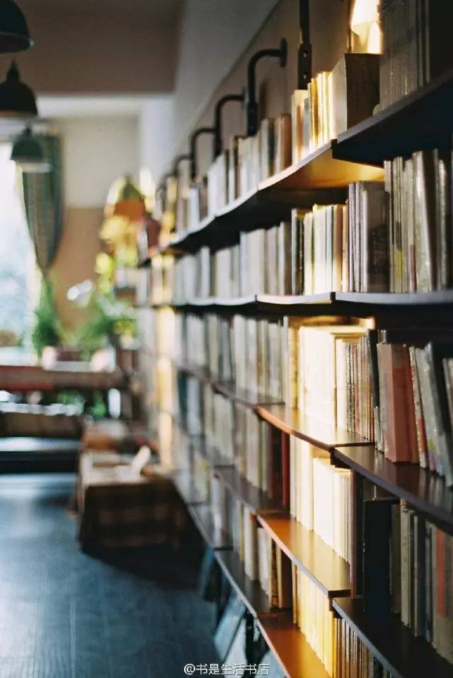 深冬的郑州，你需要这些书店帮你找回内心的平静和温暖