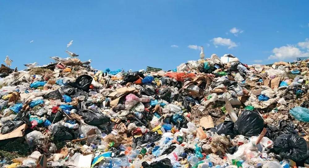 为啥椰子鞋卖这么贵,为什么椰子鞋什么价位都有