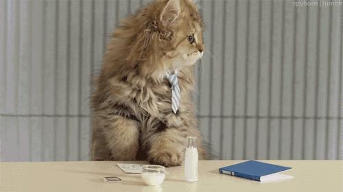 嫌电脑包吃藕?10款能放电脑又不土的通勤包大盘点|剁手专家团