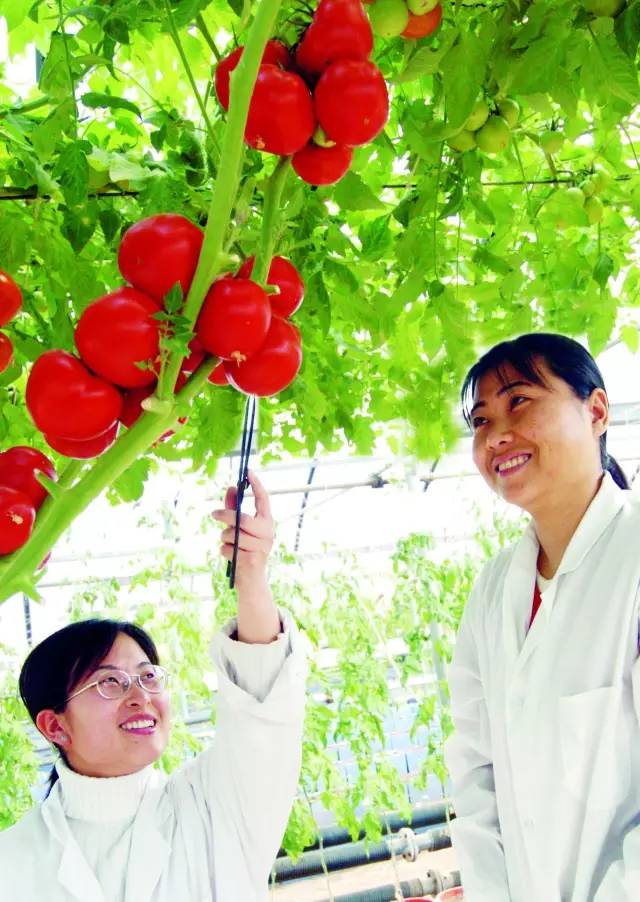 京津冀旅游年卡票,京津冀旅游年卡房山