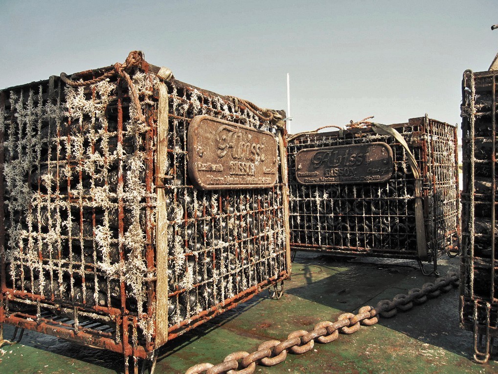 海底陈年葡萄酒,这事靠谱么?