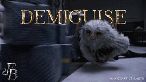 日本神奇动物Top.10榜：每一只都能秒杀J·K·罗琳的想象力！