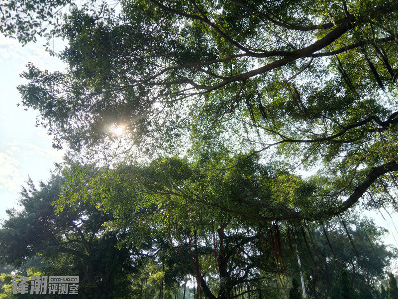 金立双镜头,金立四摄拍照