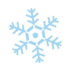 无硅油的洗发水真可以控油吗,无硅油洗发水真防脱吗