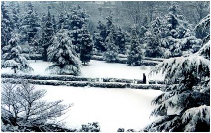 中国海洋大学真的没有海吗？