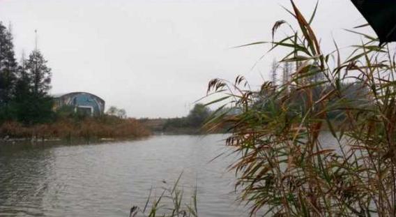 钓鱼人太牛！大风大雨中垂钓也能迎来鲤鲫大丰收