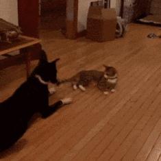 图文笑话选择幽默,图文笑话视频