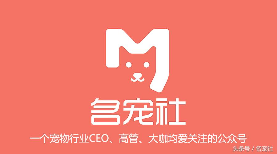 国内知名英国斗牛犬犬舍名单,法国斗牛犬犬舍视频