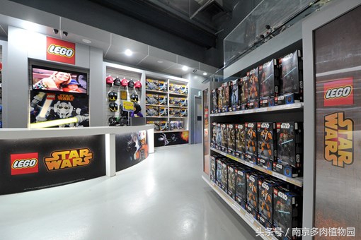 乐高积木成人款植物多肉,小玩具乐高