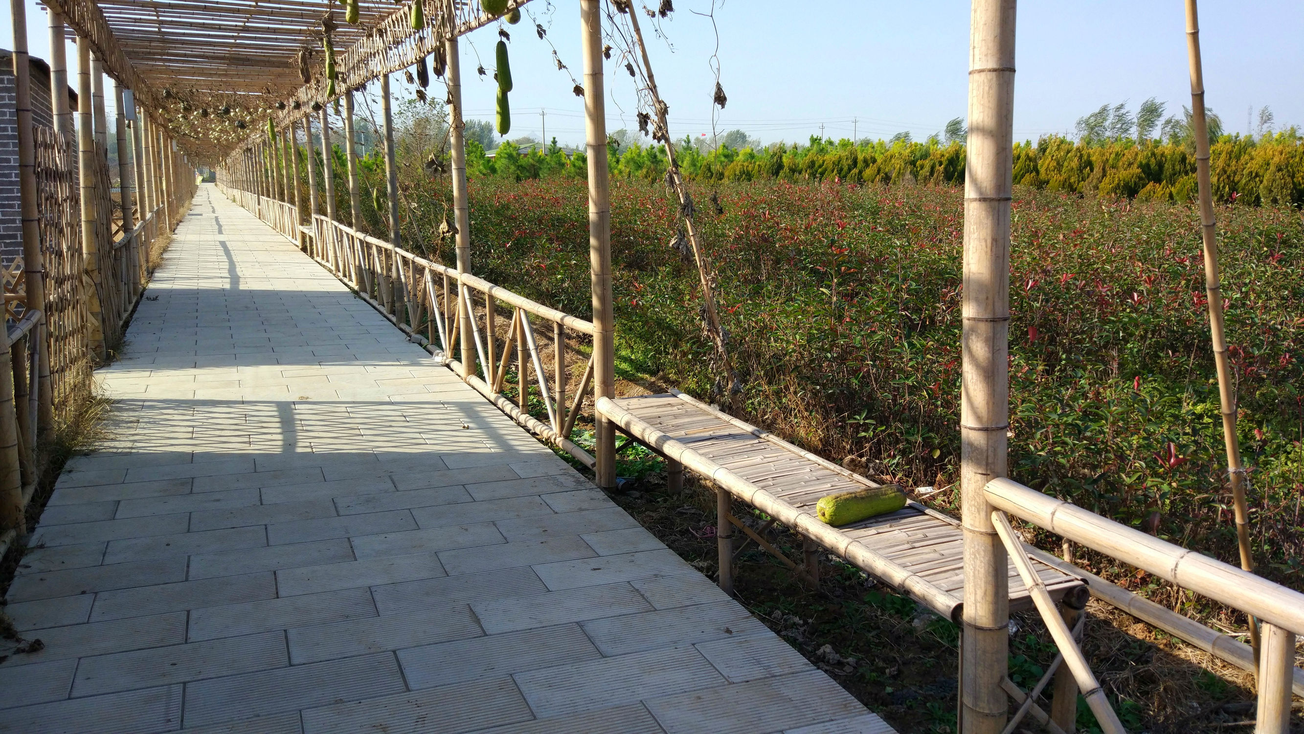 青州赤涧村数字乡村建设心得体会,青州弥河赤涧村